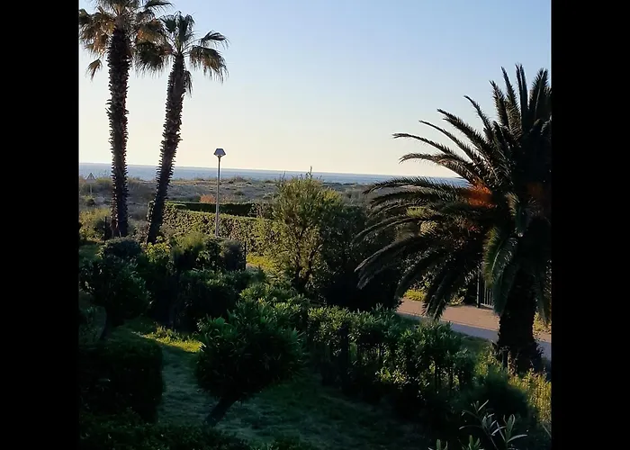 Les Goelettes - Vue Et Montagne A 100m Saint-Cyprien